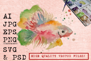 Abstract Fish Watercolors and Illustrations