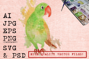 CUTE PARROT WATERCOLORS Illustrations