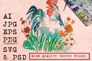 Roosters Watercolors & Illustrations
